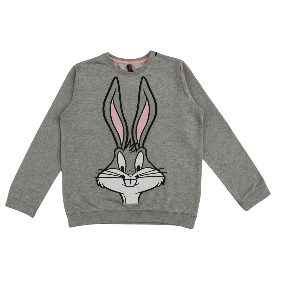 Boy Rabbit sweatshirt