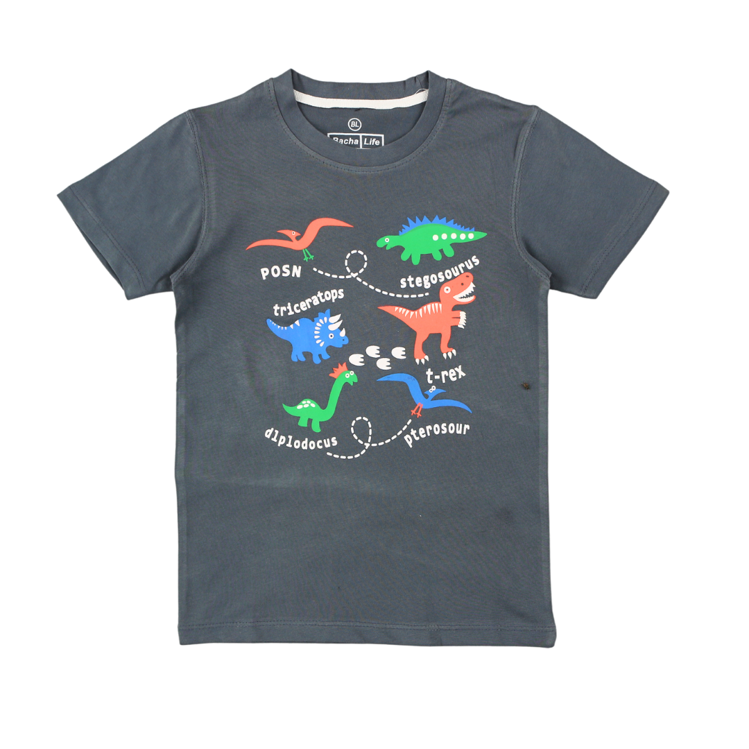 Boys ash gray dinasour t-shirt