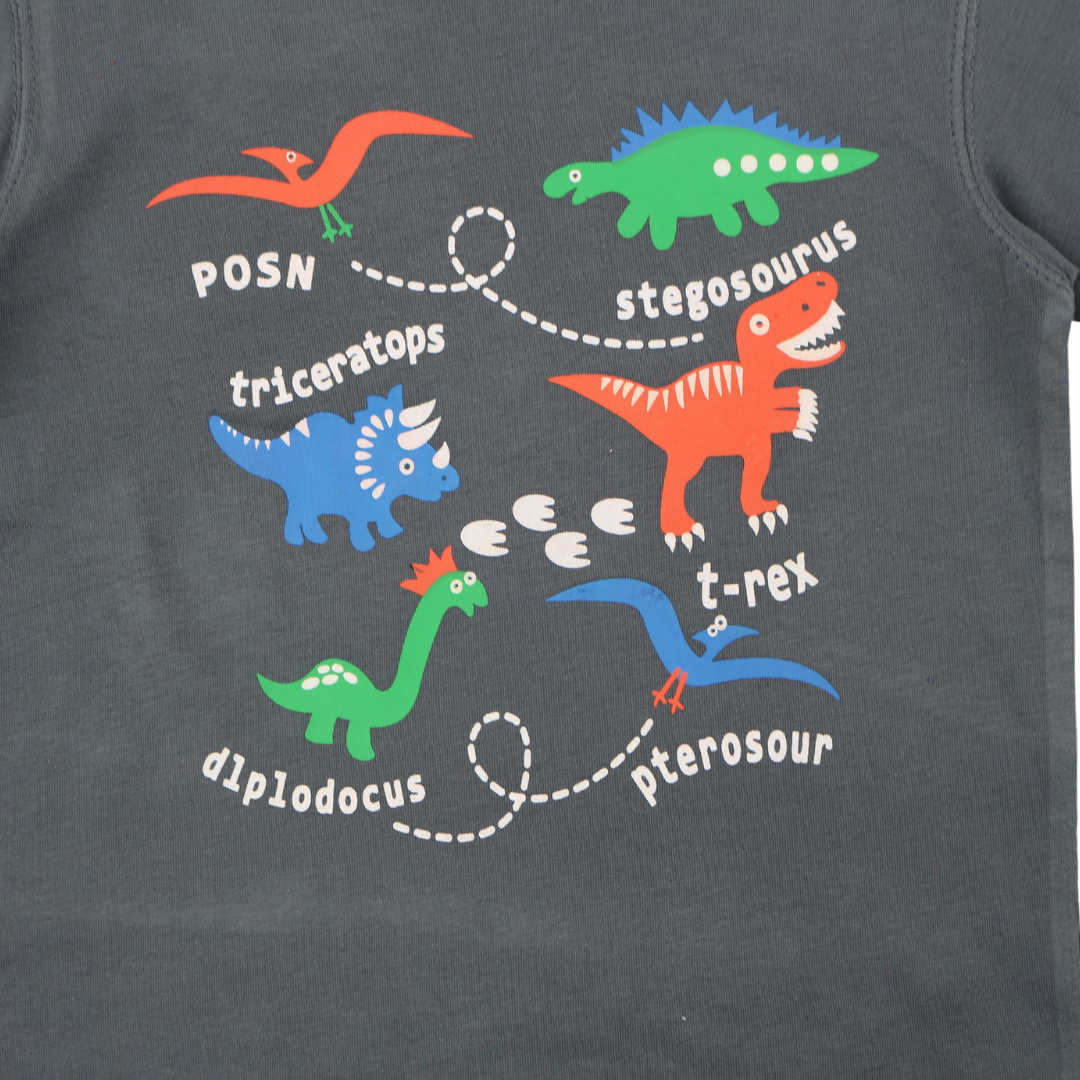 Boys ash gray dinasour t-shirt