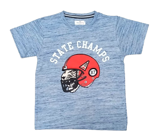 Boys gray state champs T-Shirt